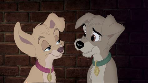 angel from lady and the tramp|scamp and angel love.